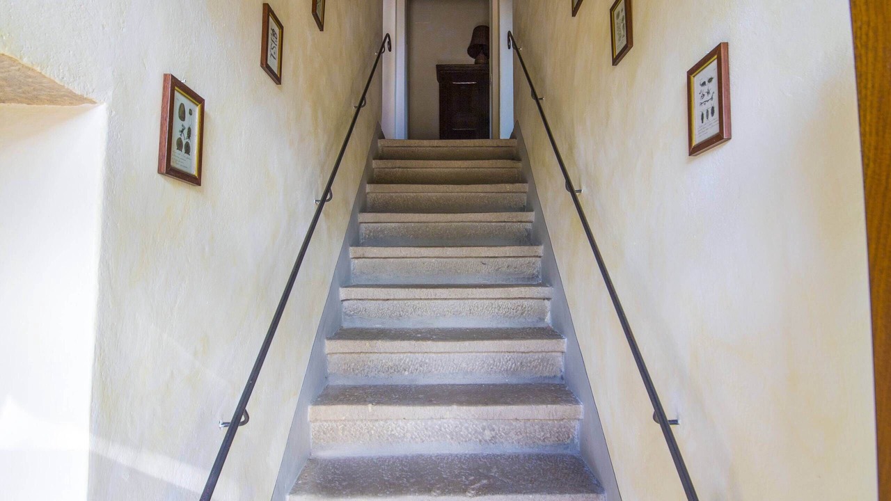 Photo of Others in Palaia