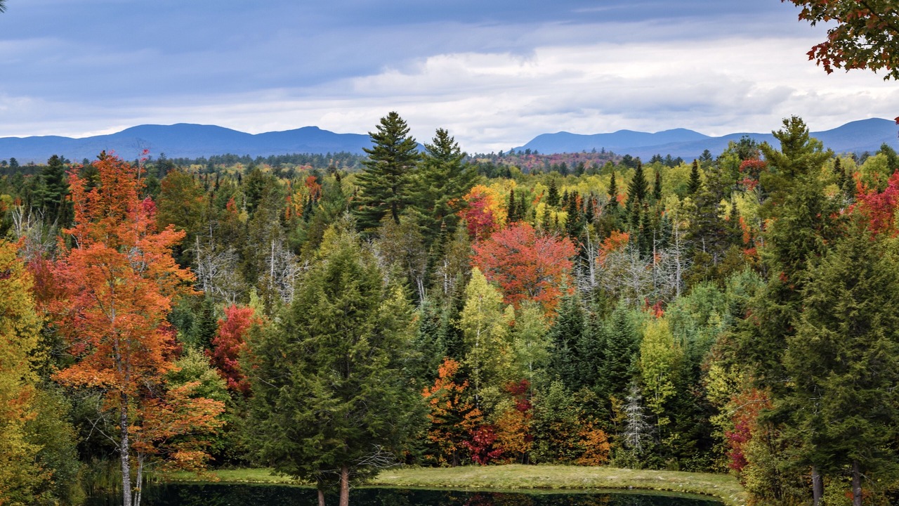 Photo of Outdoor in Brownville