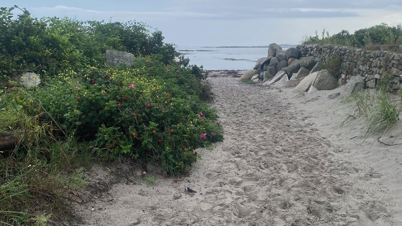 Photo of Others in Kennebunkport