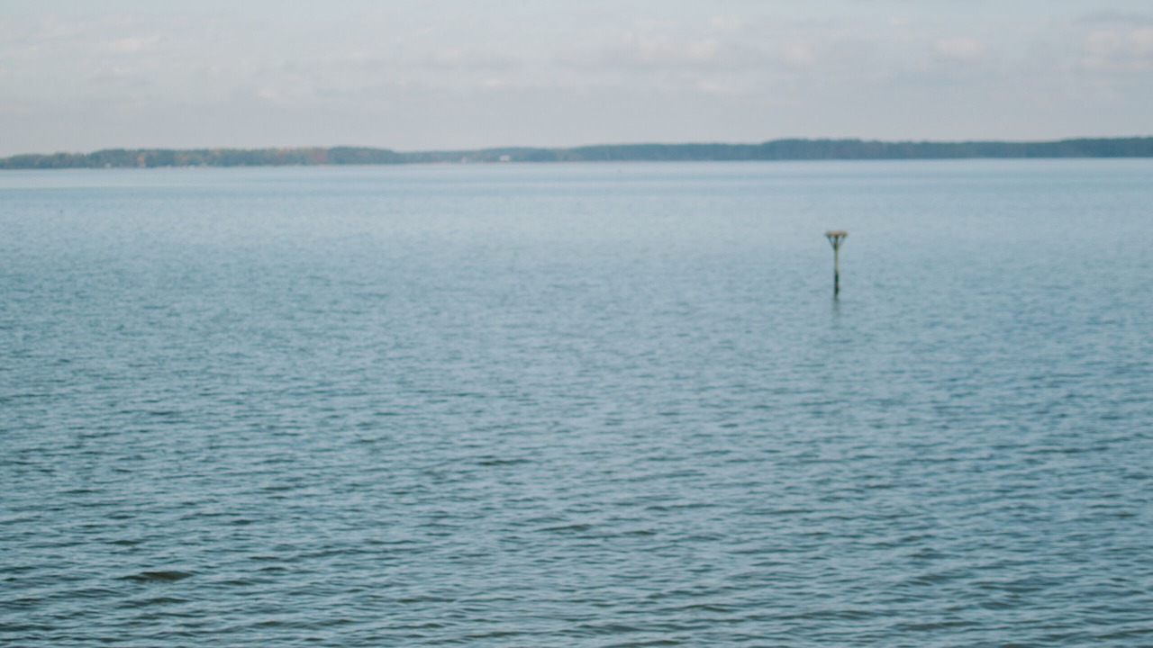 Photo of Others in Dutton