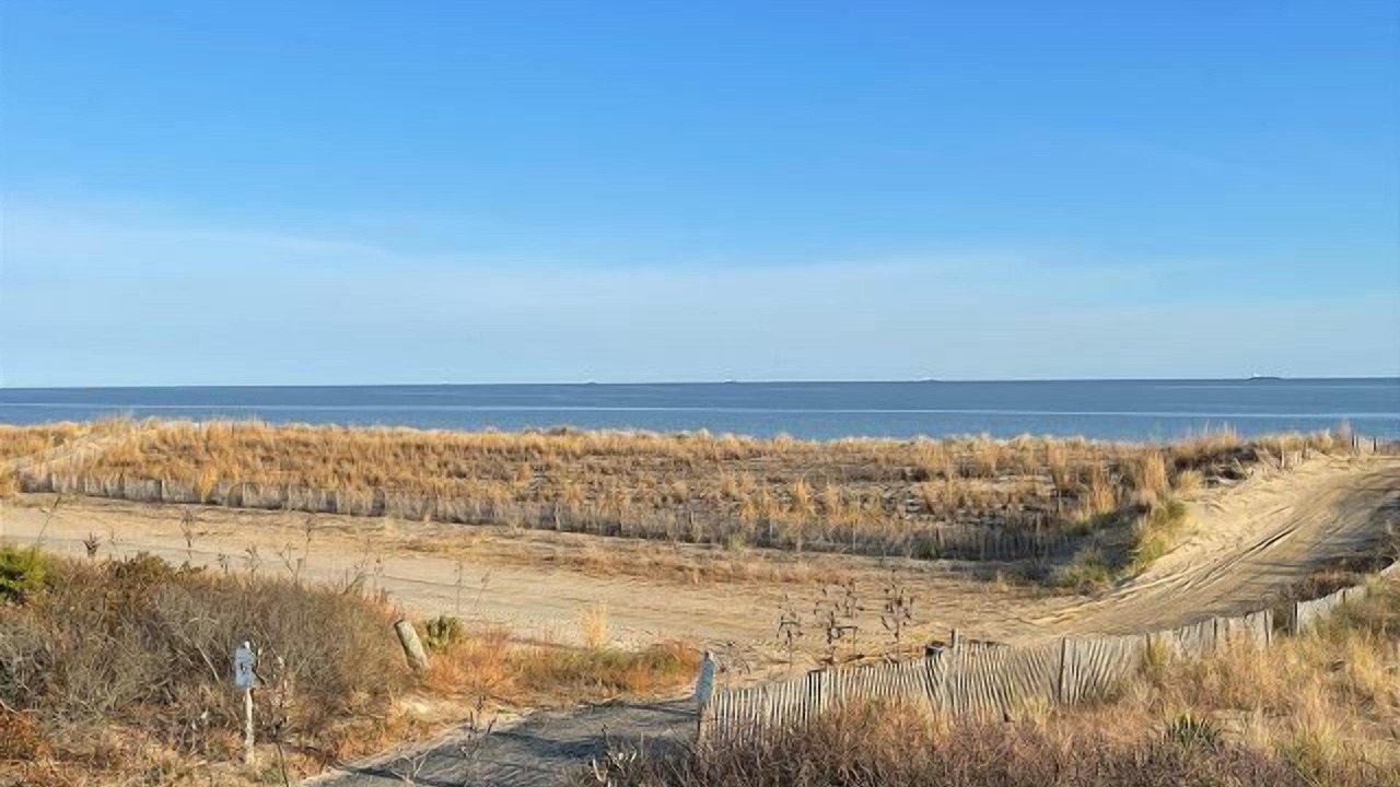 Photo of Others in Broadkill Beach
