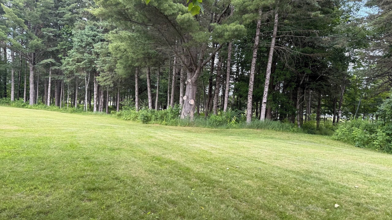 Photo of Others in Stratton