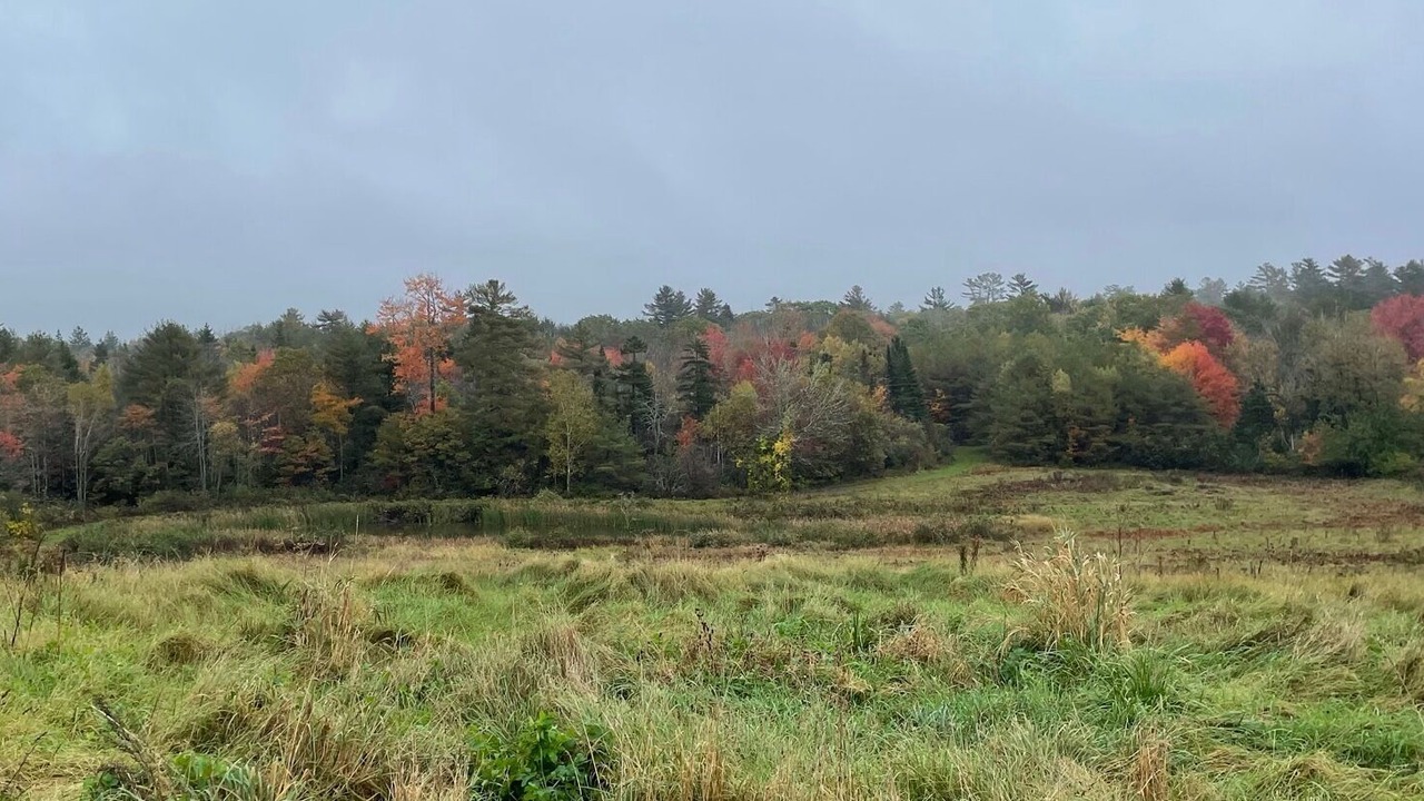 Photo of Outdoor in Waldoboro