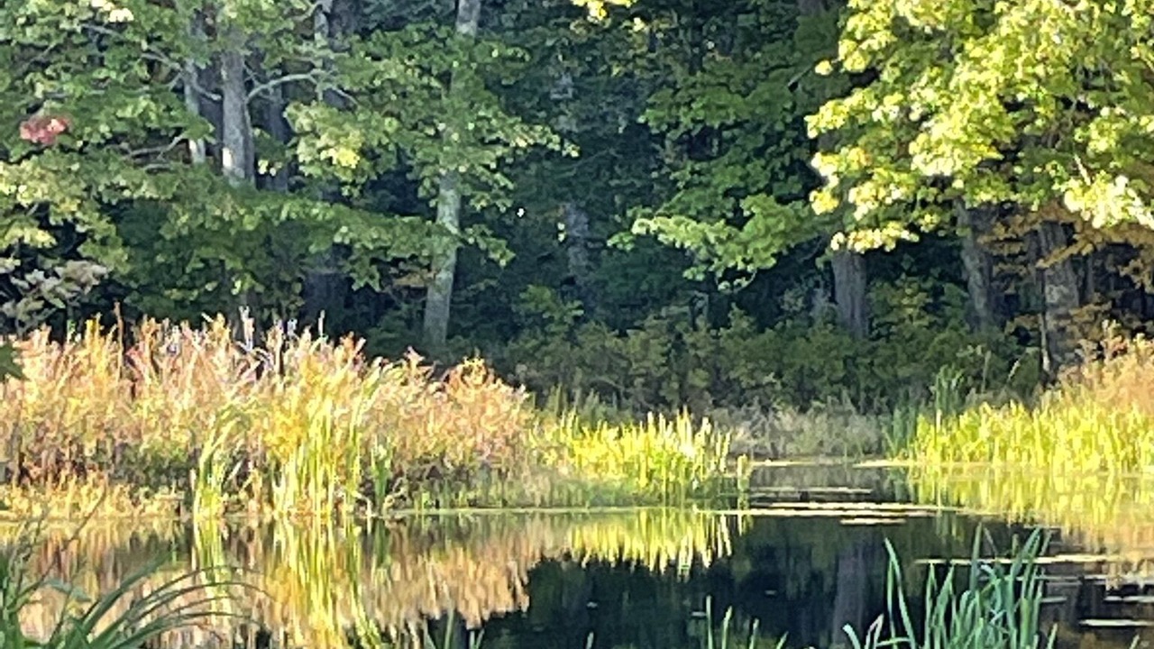 Photo of Others in Waldoboro