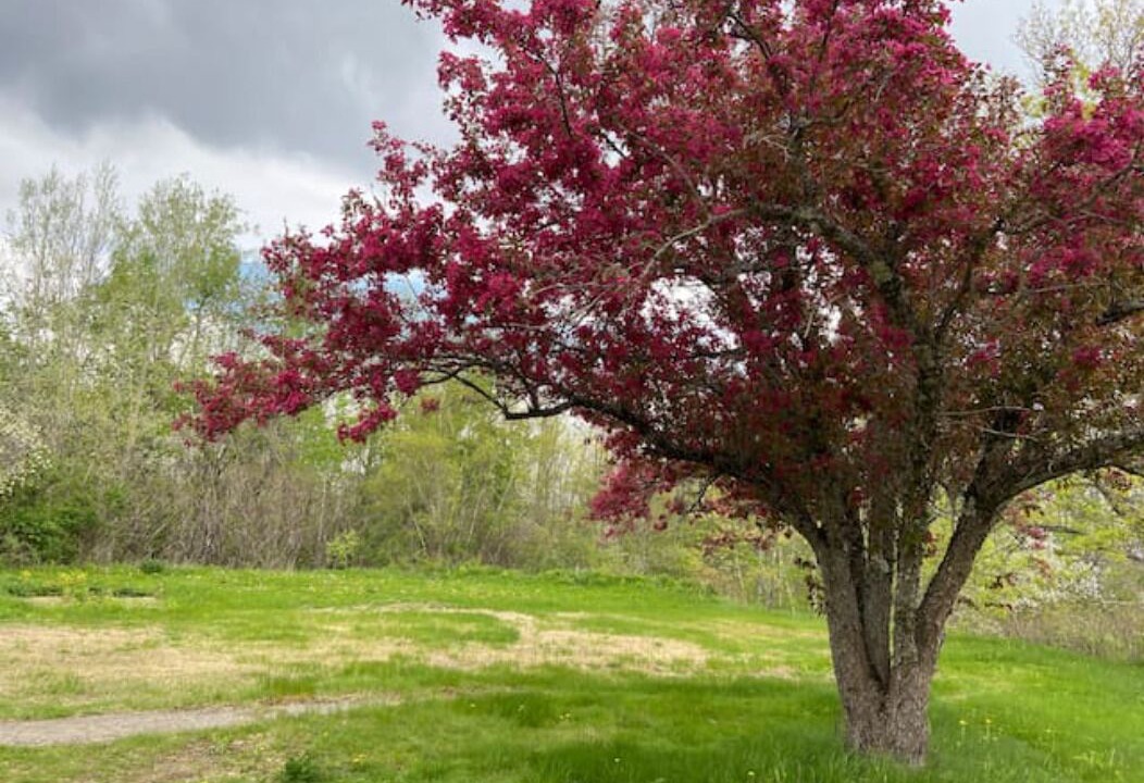 Photo of Outdoor in Frankfort