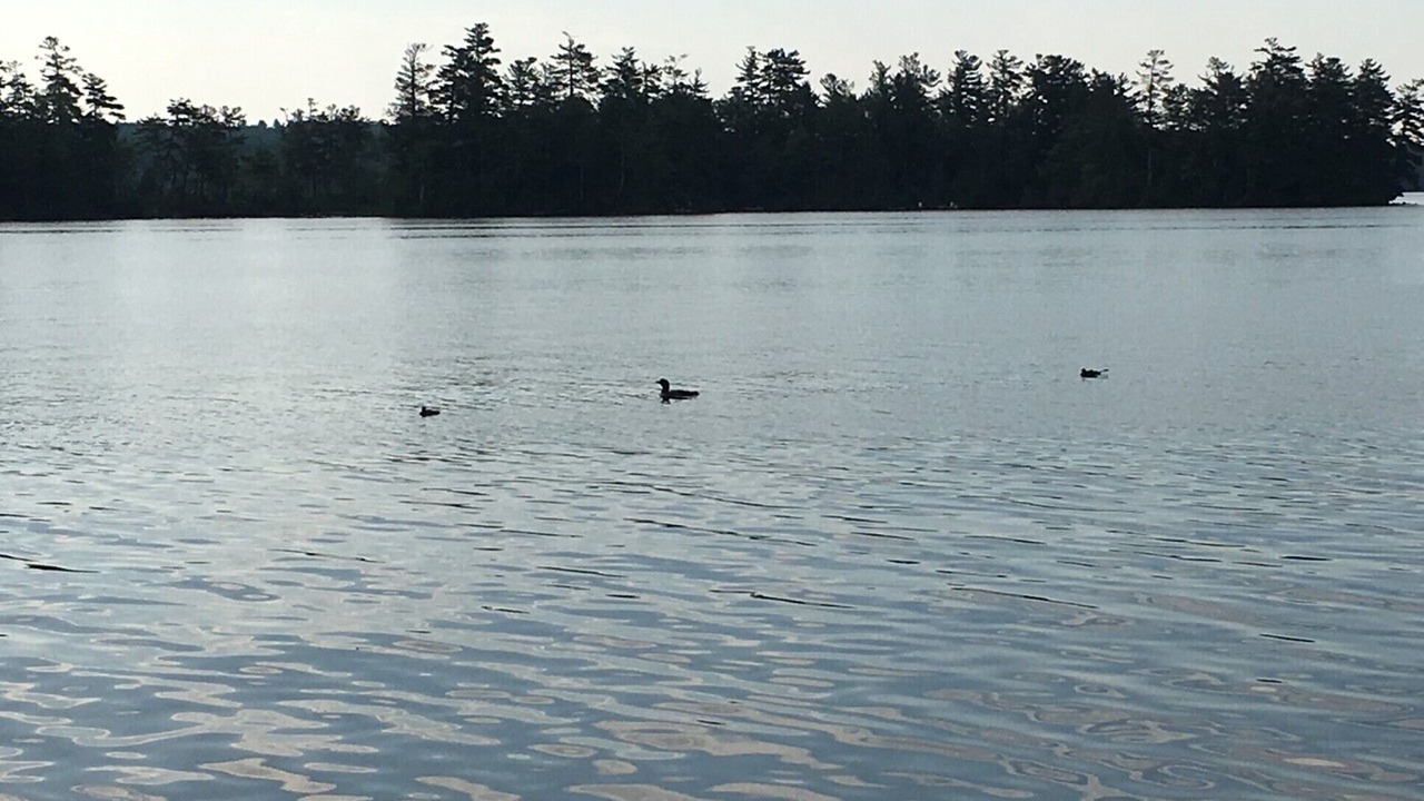 Photo of Others in Winthrop