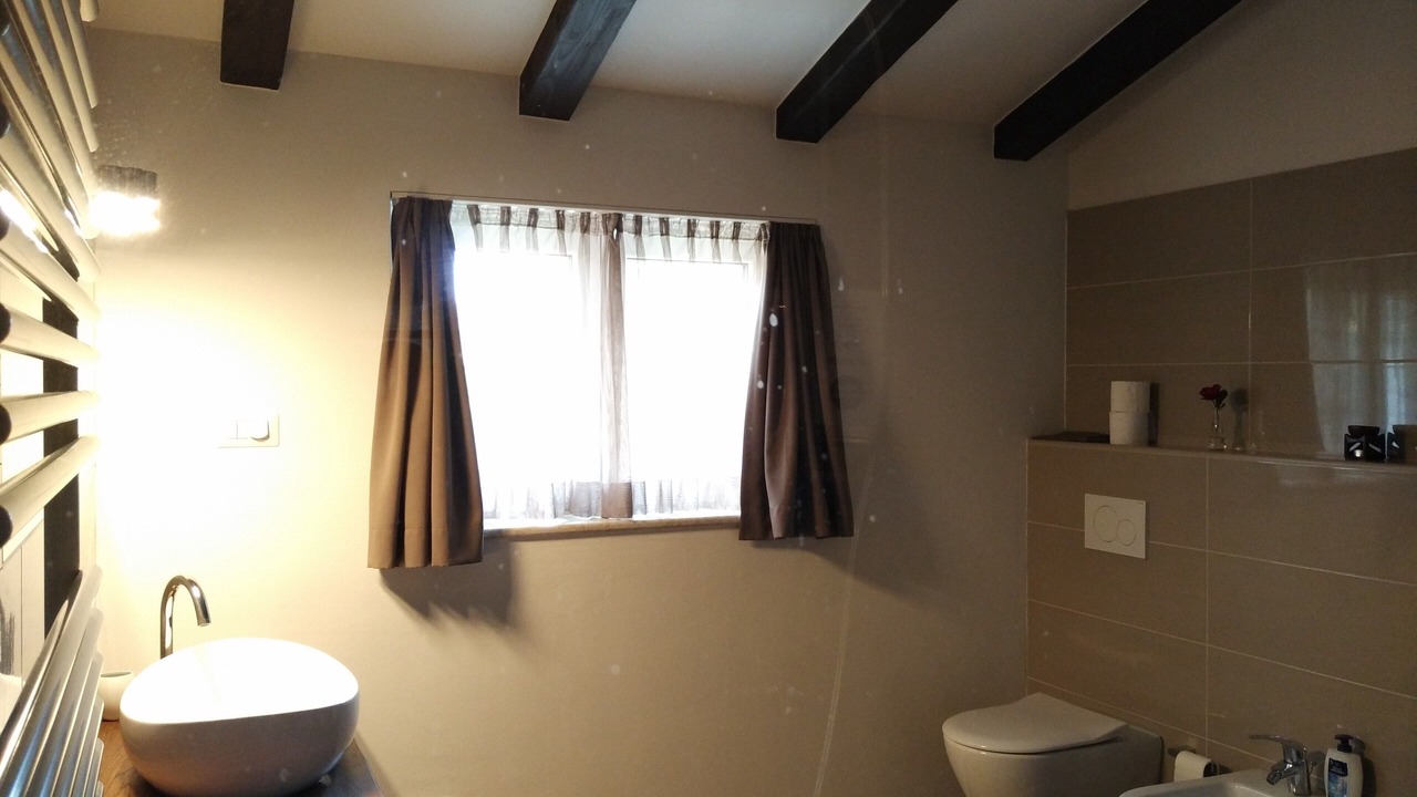 Photo of Bathroom in Tar-Vabriga