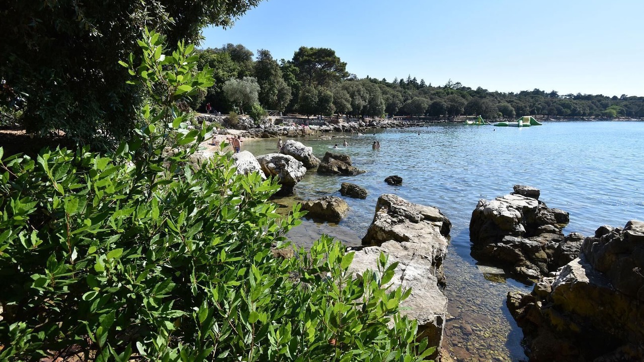 Photo of Others in Brtonigla