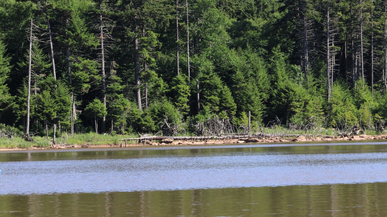 Photo of Outdoor in Edray