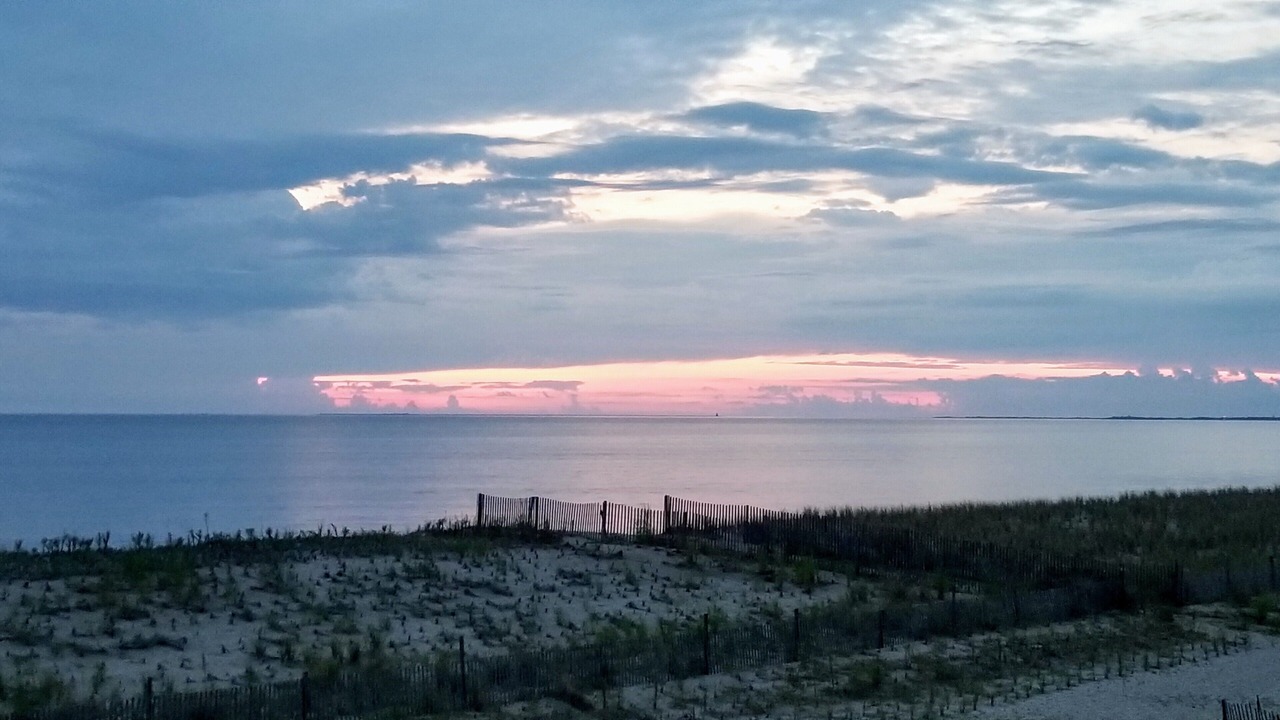 Photo of Others in Broadkill Beach