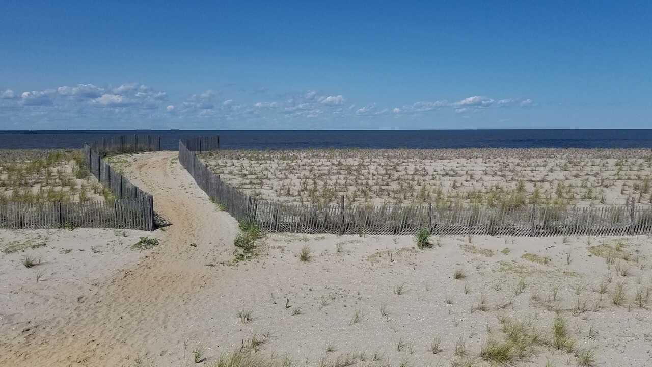 Photo of Others in Broadkill Beach