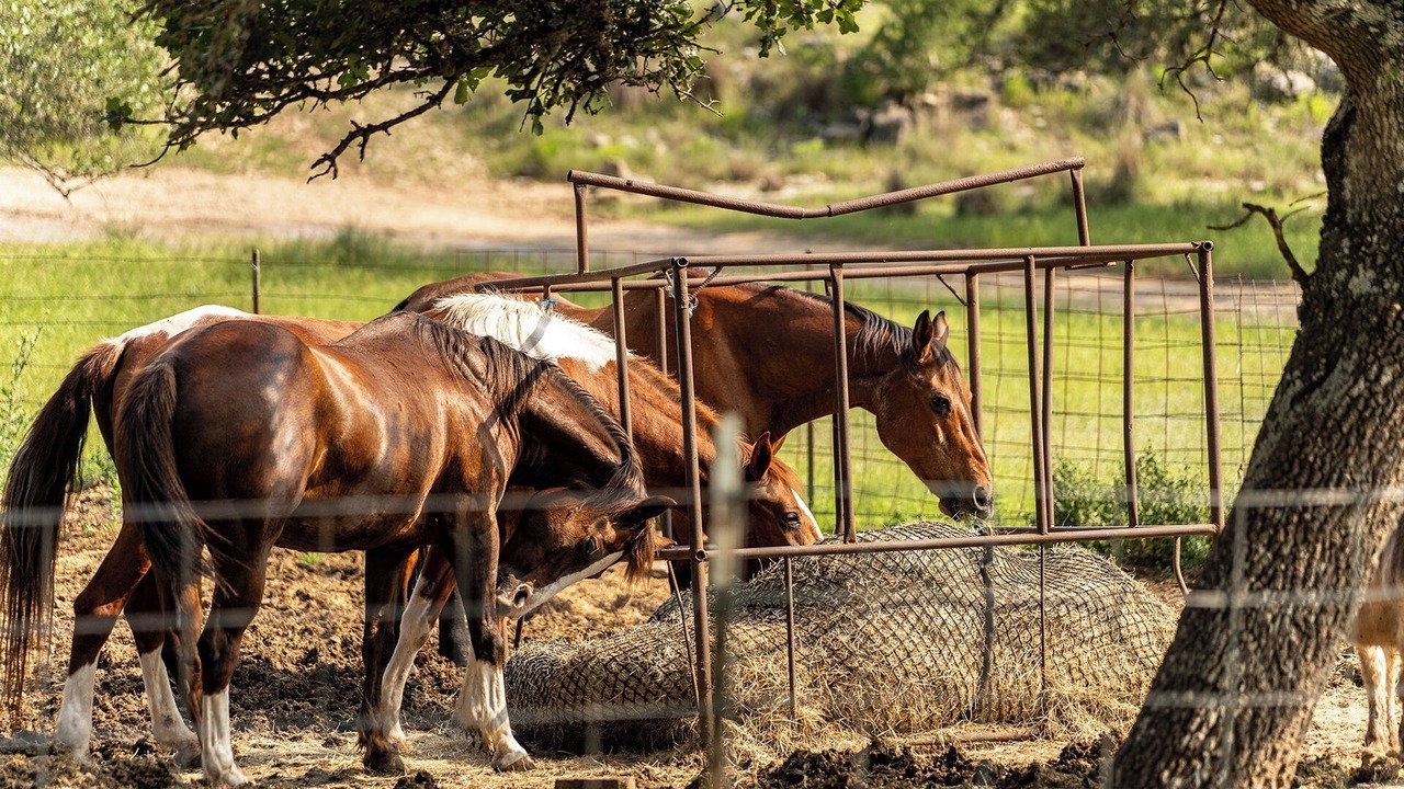 Photo of Outdoor in Fredericksburg
