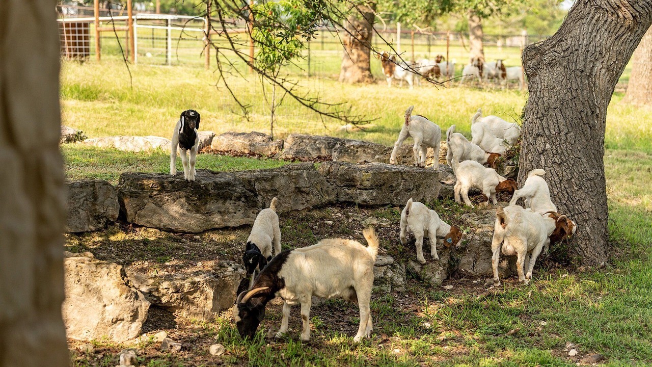 Photo of Outdoor in Fredericksburg