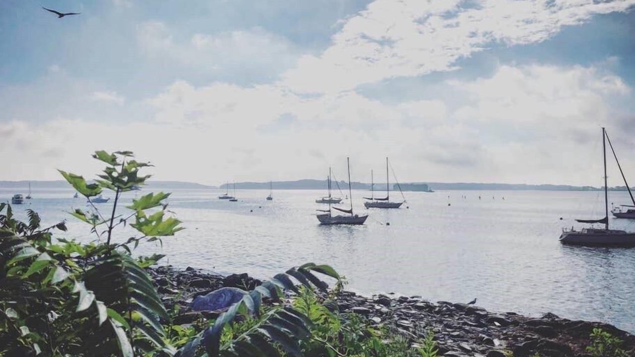 Photo of Others in East Bayside