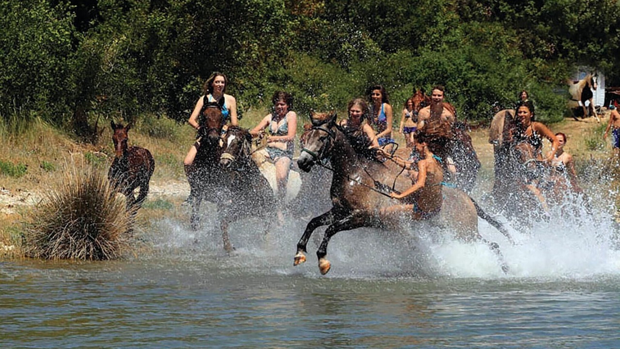 Photo of Others in Bicici