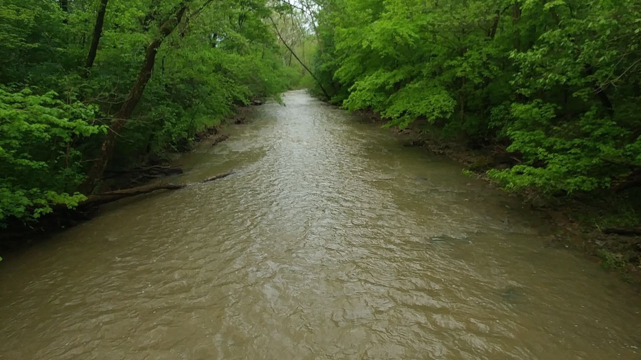 Photo of Others in Hallsville