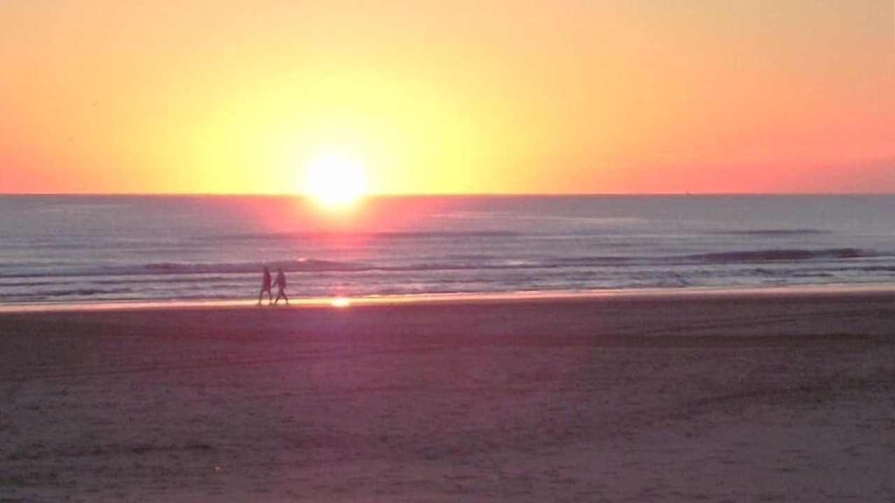 Photo of Others in South Padre Island