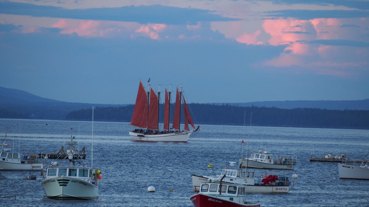 Photo of Others in Bar Harbor