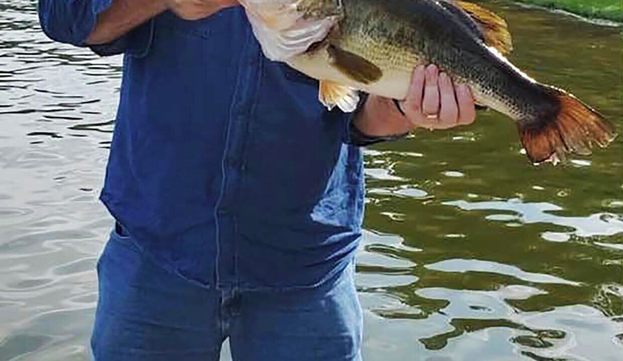 Photo of Others in Holly Lake Ranch
