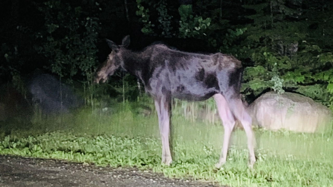 Photo of Outdoor in Brownville