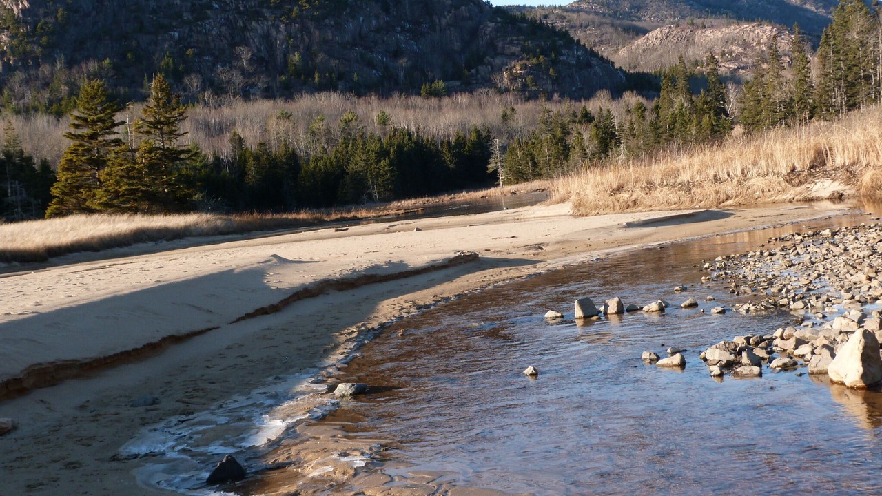 Photo of Others in Salsbury Cove