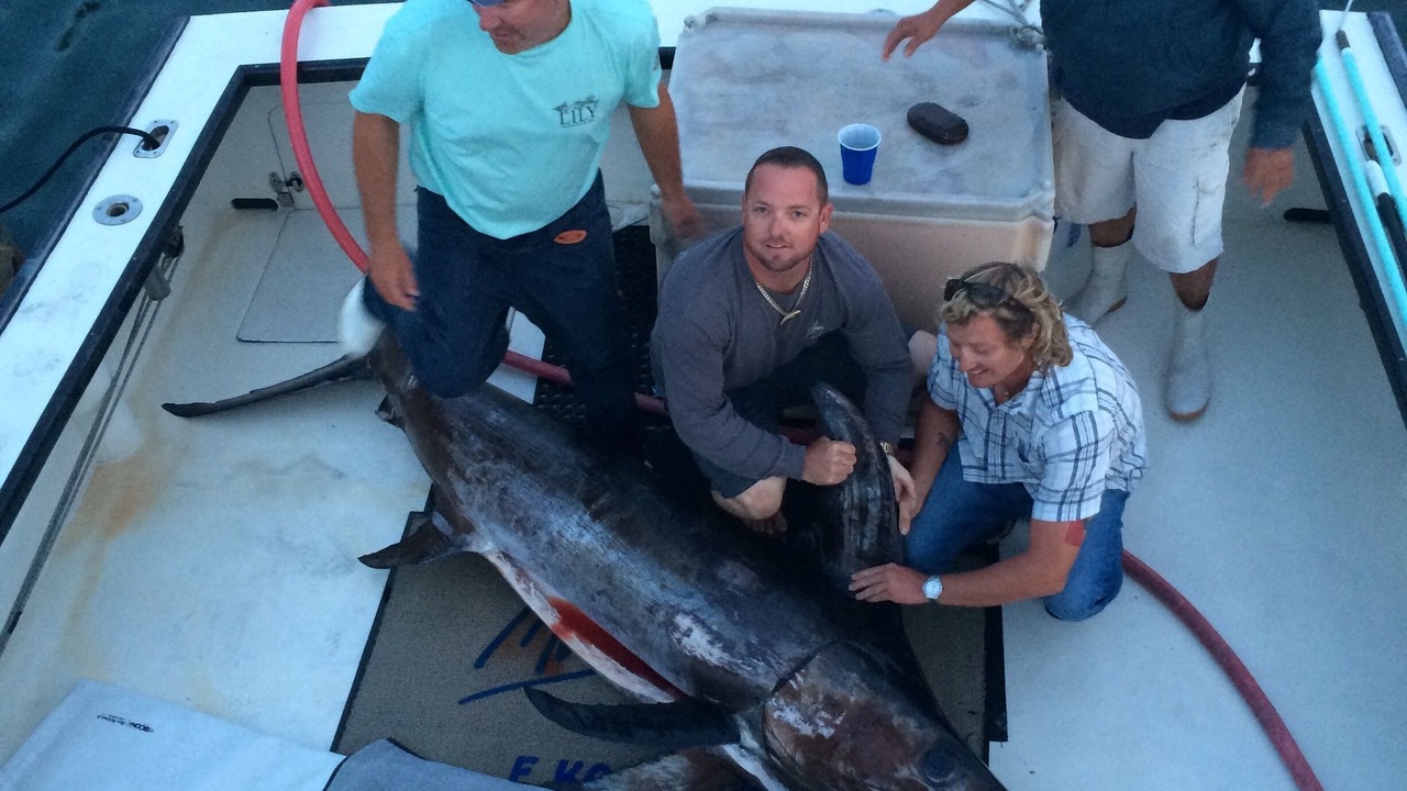 Photo of Others in Southwest Harbor