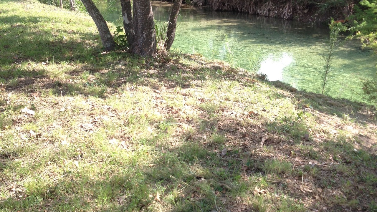 Photo of Others in Rio Frio