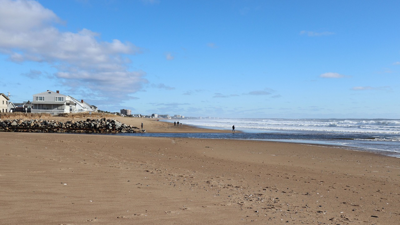 Photo of Others in Ocean Park