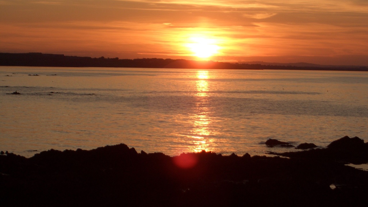 Photo of Others in Skerries