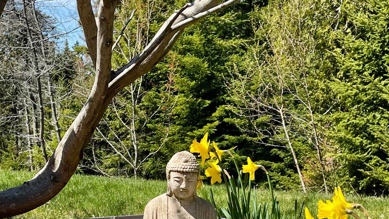 Photo of Outdoor in West Tremont