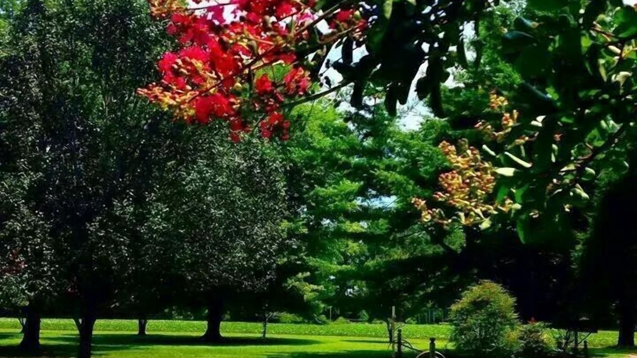 Photo of Outdoor in Achilles