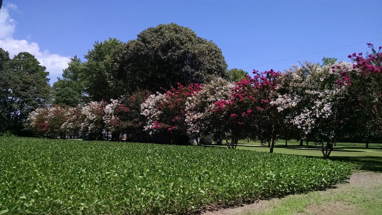 Photo of Outdoor in Achilles