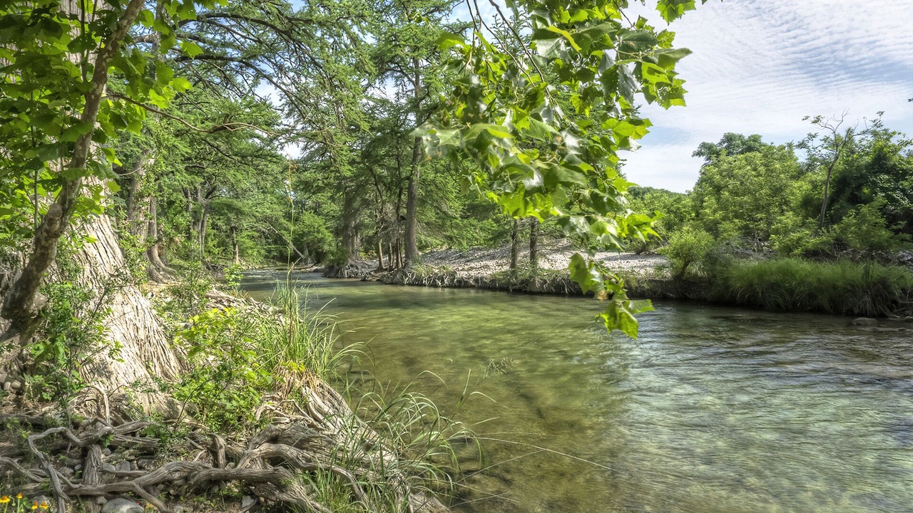 Photo of Others in Rio Frio