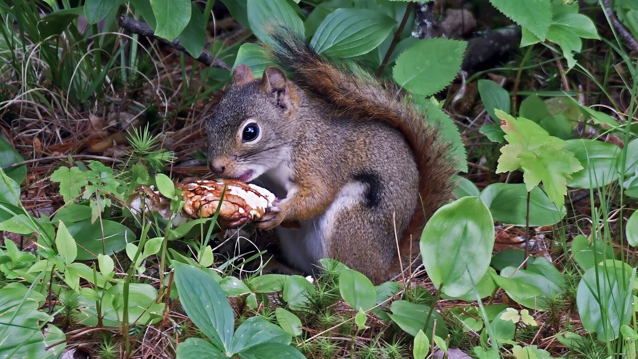 Photo of Others in Bridgton