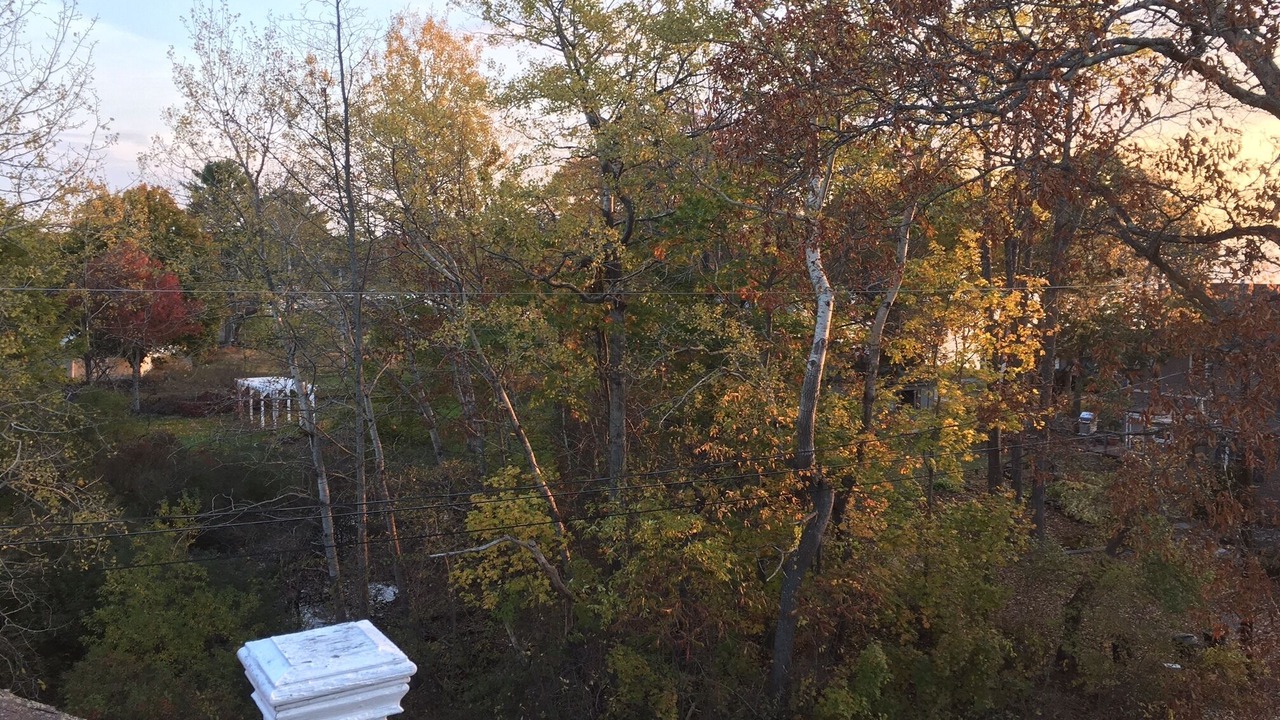 Photo of Outdoor in York Beach