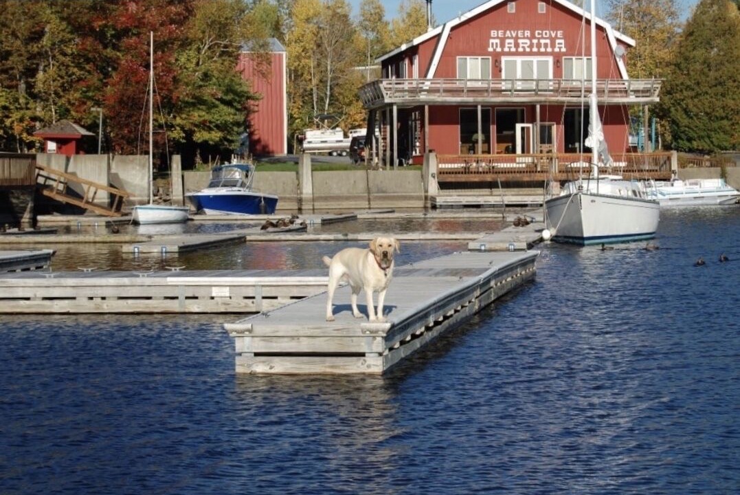 Photo of Others in Beaver Cove