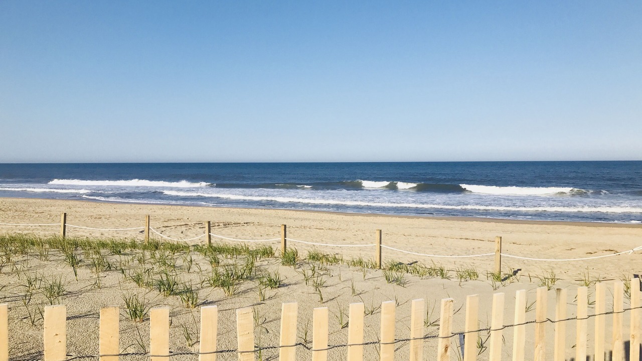 Photo of Others in North Ocean City