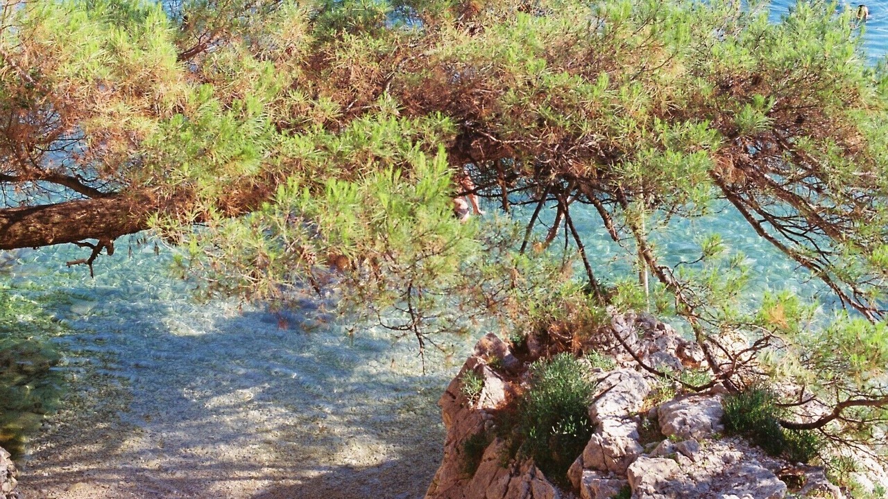 Photo of Outdoor in Labin