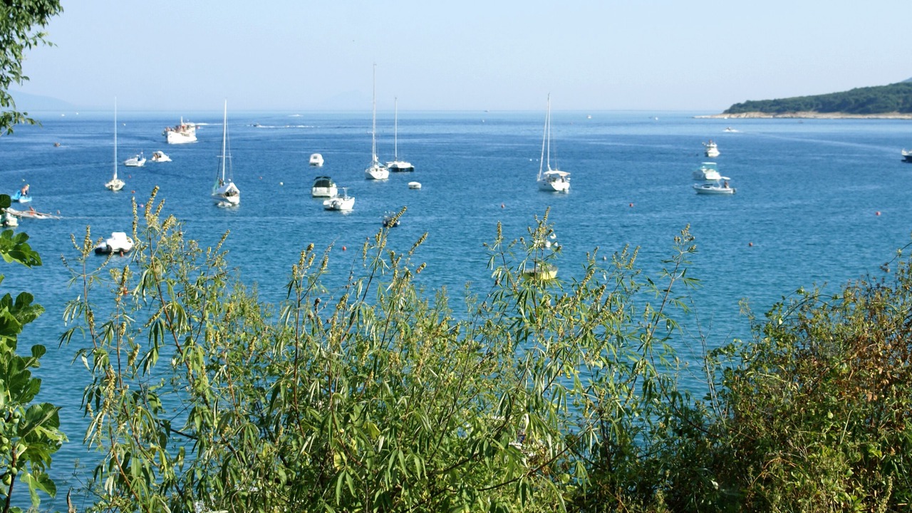 Photo of Others in Labin