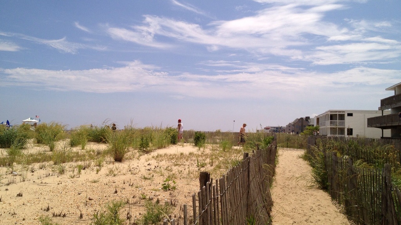Photo of Others in Rehoboth by the Sea