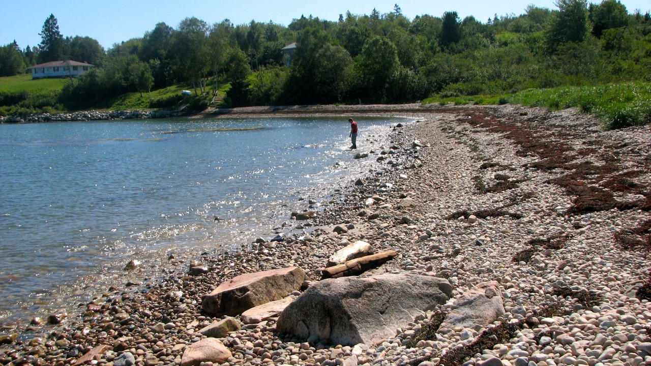 Photo of Others in Steuben