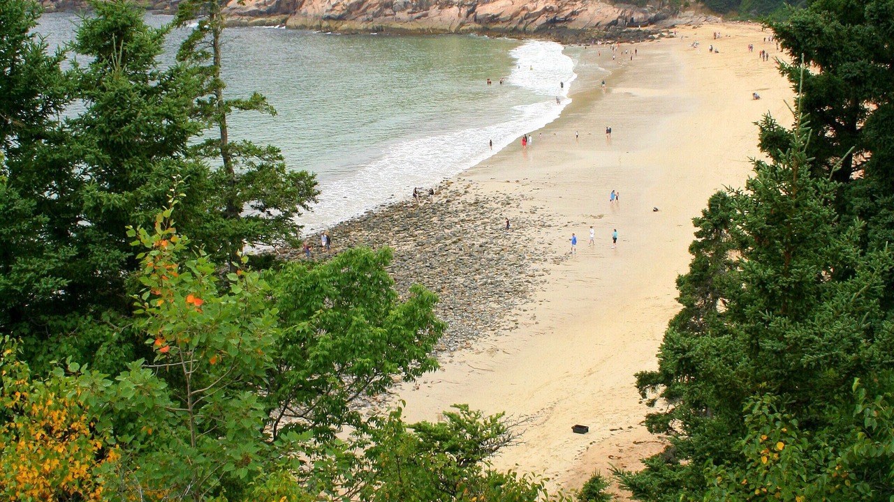 Photo of Others in Salsbury Cove