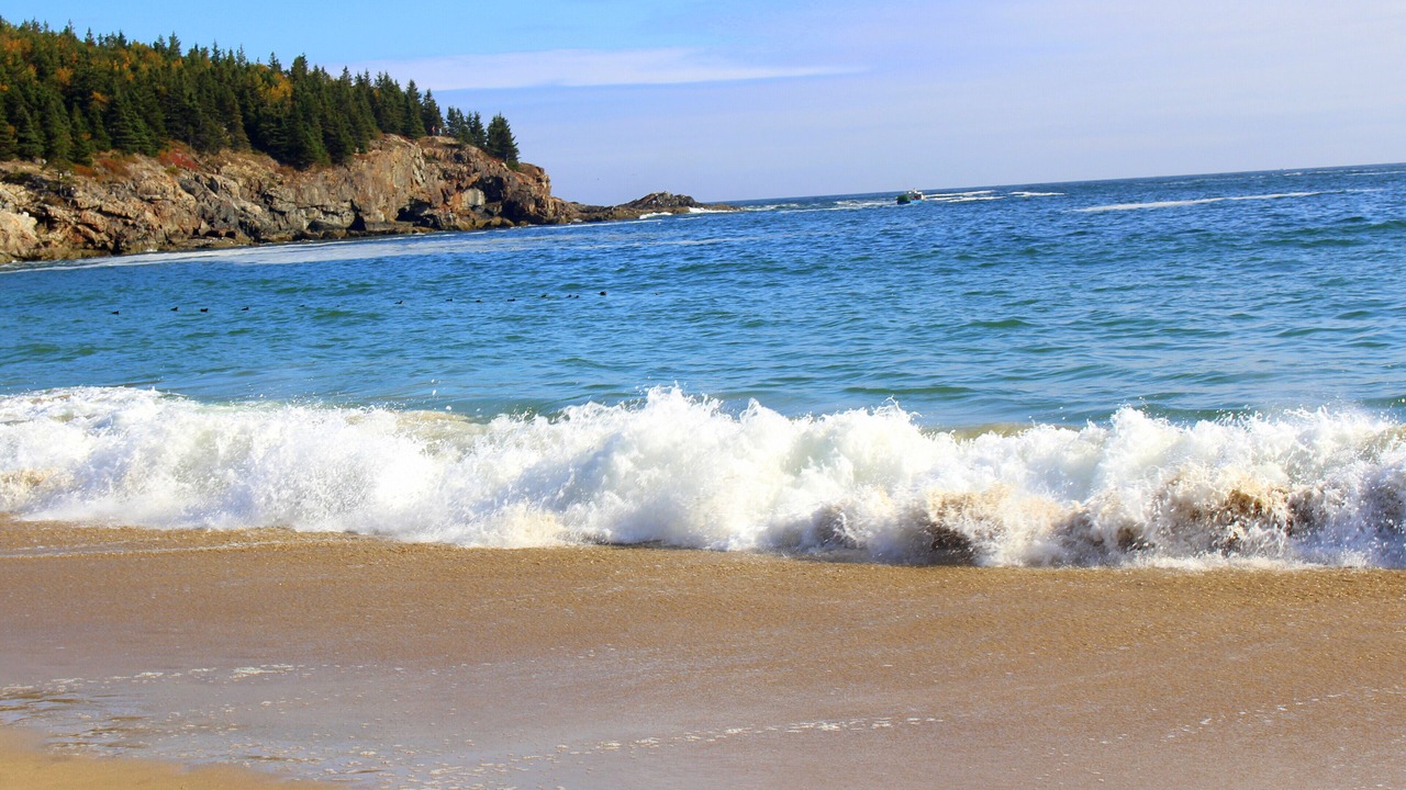 Photo of Others in Salsbury Cove