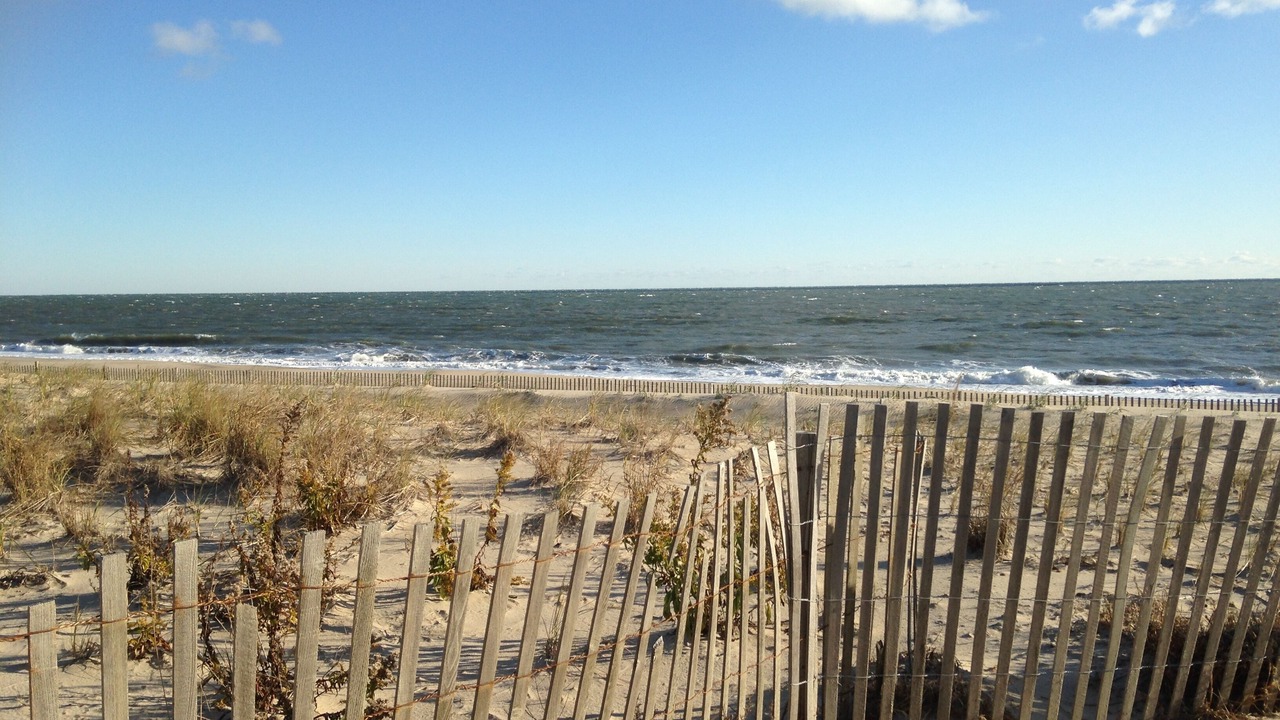 Photo of Others in Dewey Beach