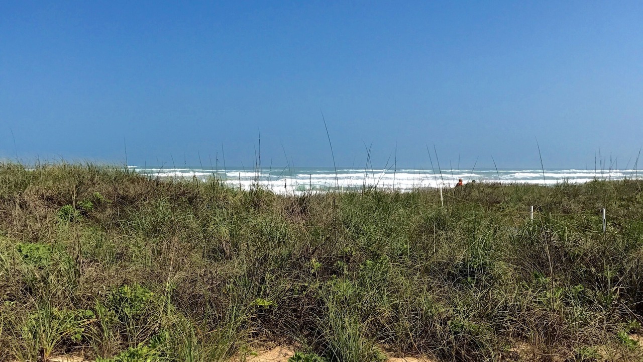 Photo of Others in South Padre Island