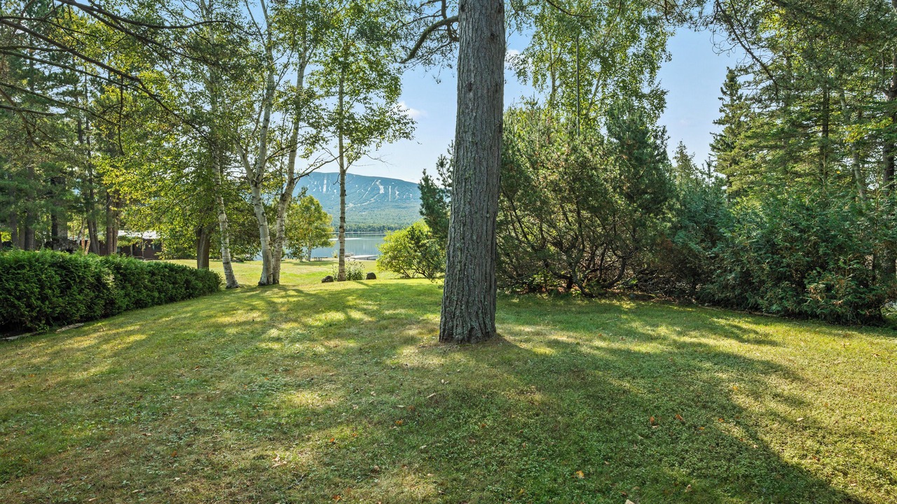 Photo of Others in Rangeley