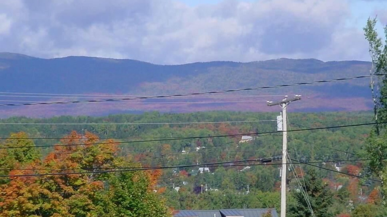 Photo of Others in Rangeley
