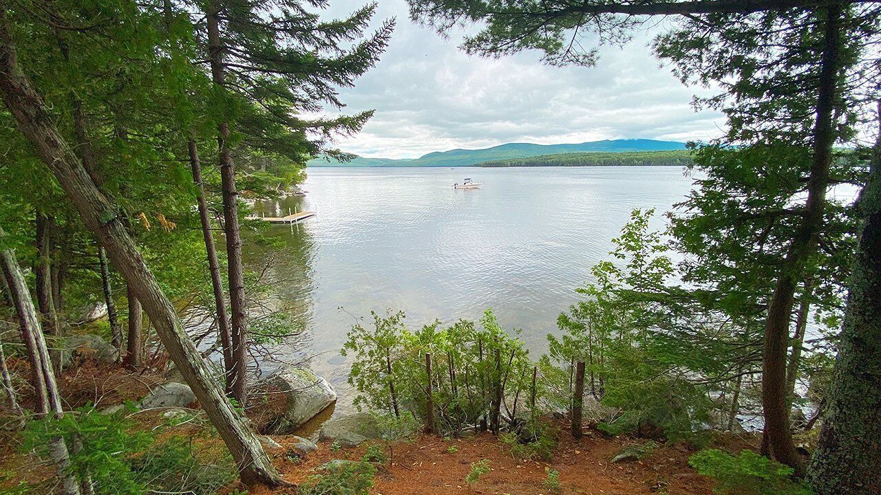 Photo of Others in Rangeley Plantation