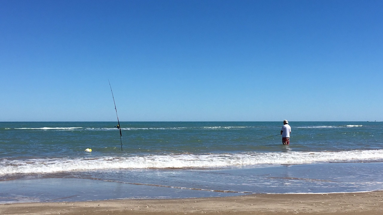 Photo of Others in South Padre Island