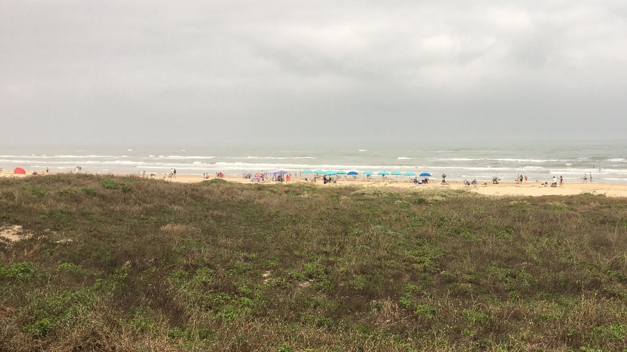 Photo of Others in South Padre Island
